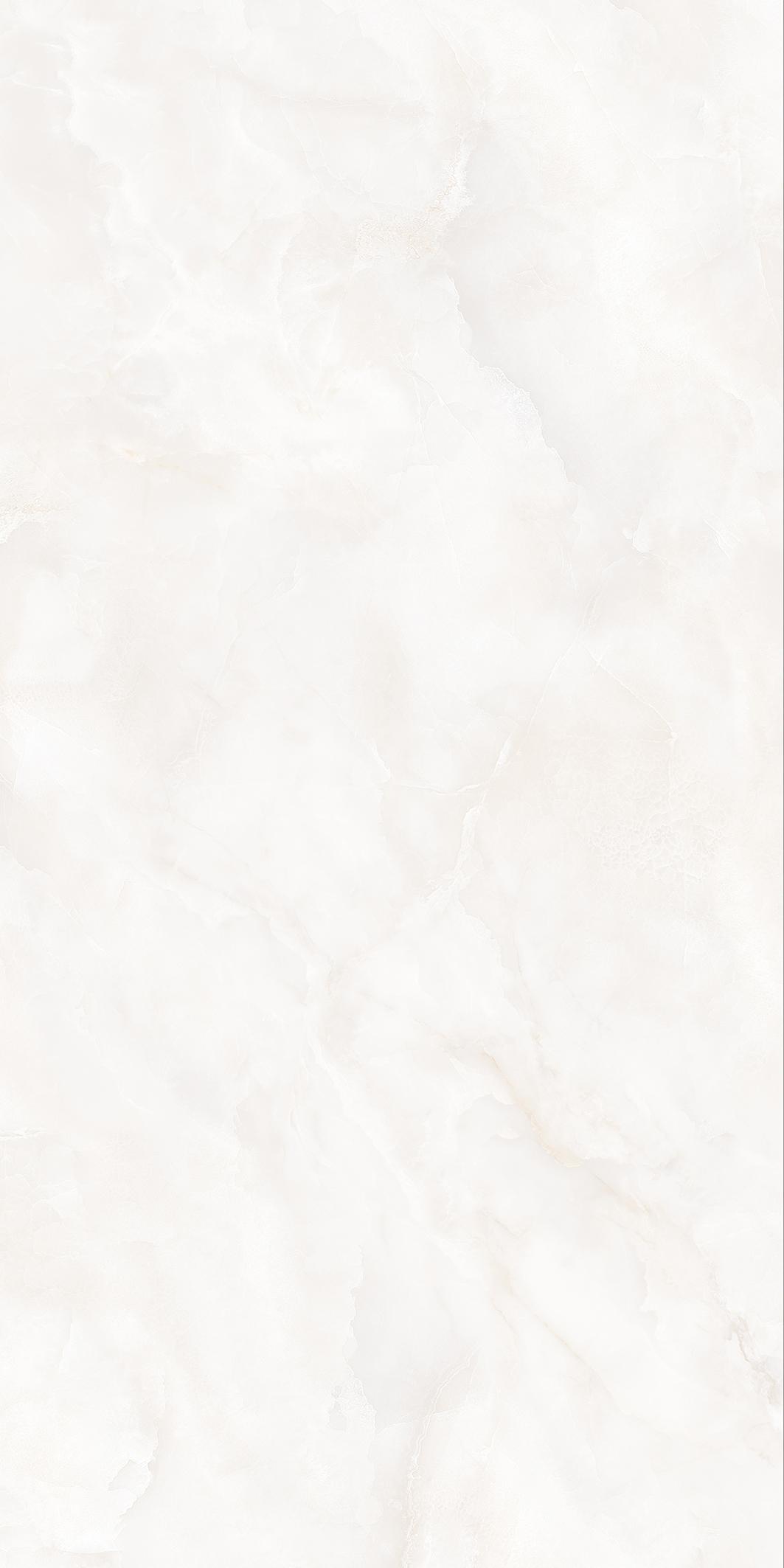 CTB4860-W